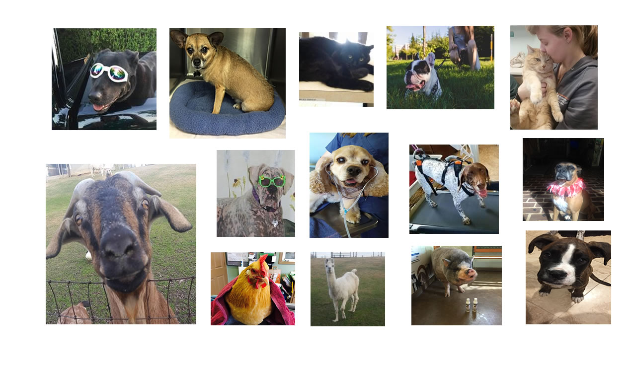 Testimonials from our Friends