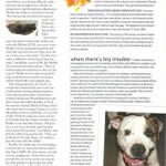 sacramento magazine pg 3